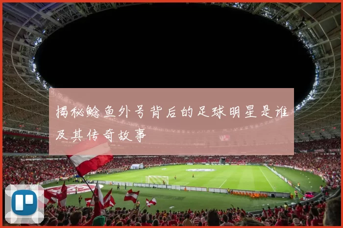 揭秘鲶鱼外号背后的足球明星是谁及其传奇故事