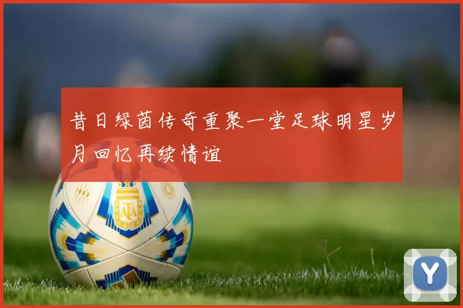 昔日绿茵传奇重聚一堂足球明星岁月回忆再续情谊