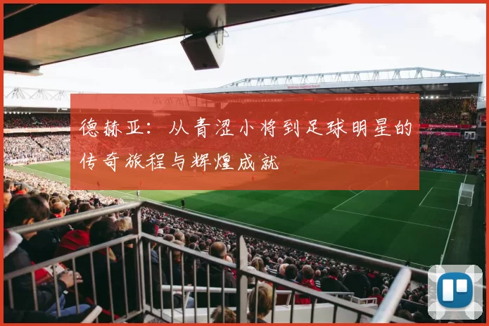 德赫亚：从青涩小将到足球明星的传奇旅程与辉煌成就