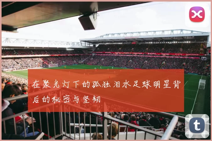 在聚光灯下的孤独泪水足球明星背后的秘密与坚韧