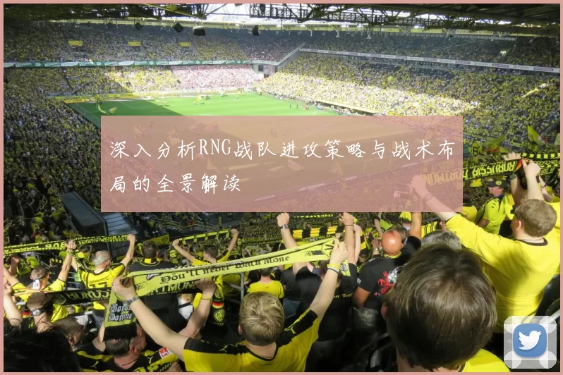 深入分析RNG战队进攻策略与战术布局的全景解读