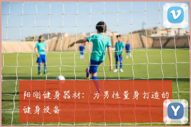 阳刚健身器材：为男性量身打造的健身设备