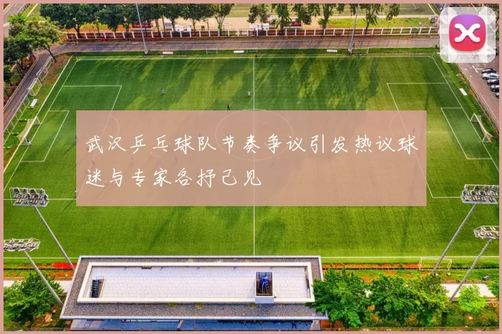 武汉乒乓球队节奏争议引发热议球迷与专家各抒己见