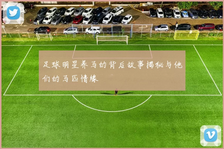 足球明星养马的背后故事揭秘与他们的马匹情缘