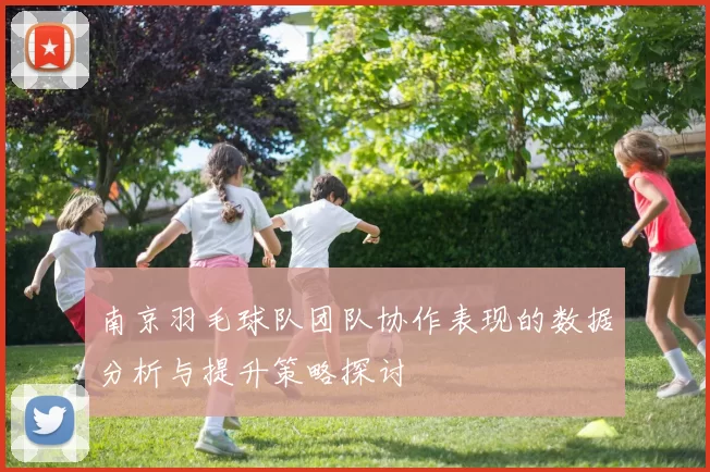 南京羽毛球队团队协作表现的数据分析与提升策略探讨